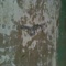 On the Walls inside children's drawings showed an AK47 shooting at a helicopter
